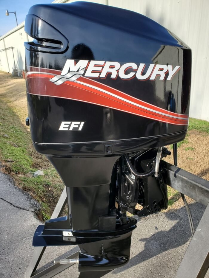 2001 Mercury 175 HP 6-Cylinder EFI 2-Stroke 20" (L) Outboard Motor